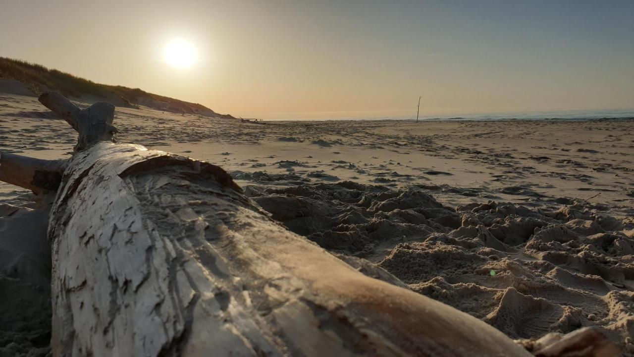 Slowinskie Widoki Domki Flora, Fauna, Noclegi Smoldzinski Las Εξωτερικό φωτογραφία