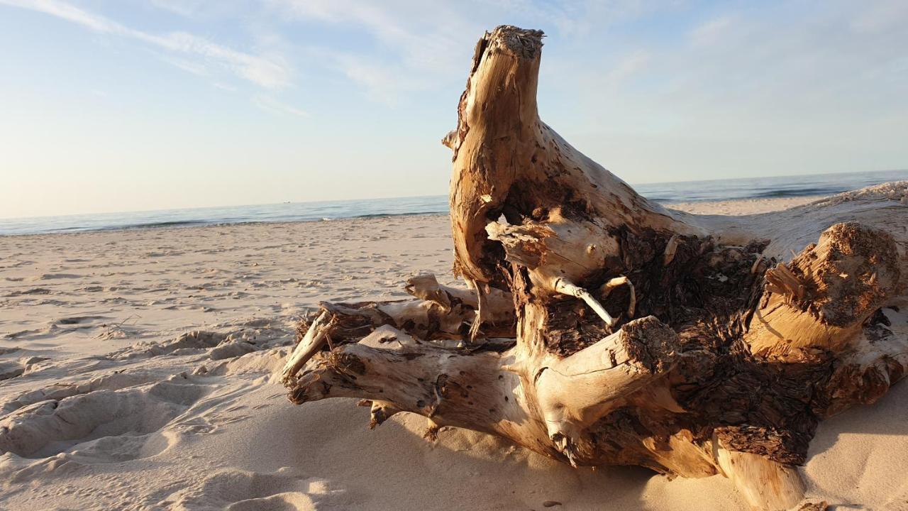 Slowinskie Widoki Domki Flora, Fauna, Noclegi Smoldzinski Las Εξωτερικό φωτογραφία
