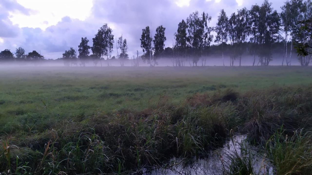 Slowinskie Widoki Domki Flora, Fauna, Noclegi Smoldzinski Las Εξωτερικό φωτογραφία