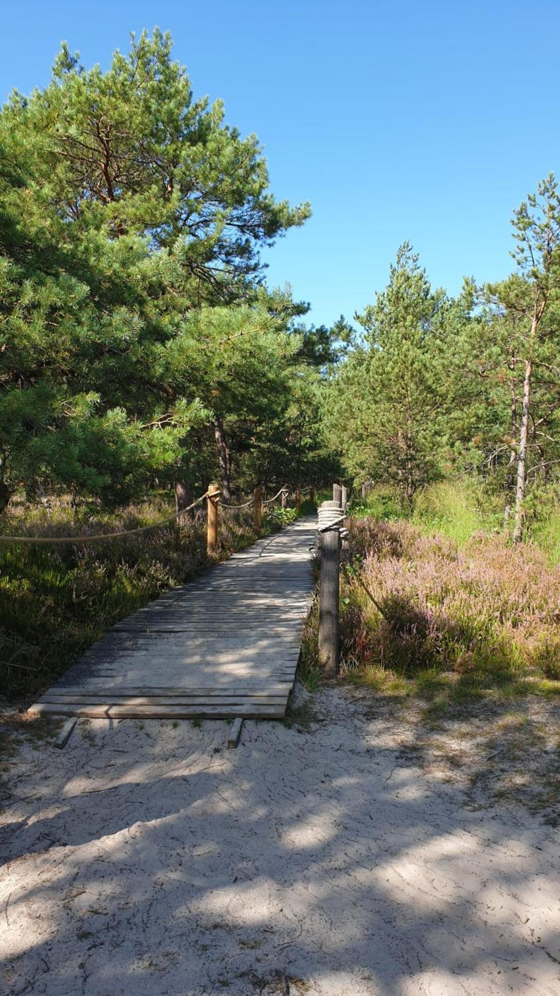 Slowinskie Widoki Domki Flora, Fauna, Noclegi Smoldzinski Las Εξωτερικό φωτογραφία